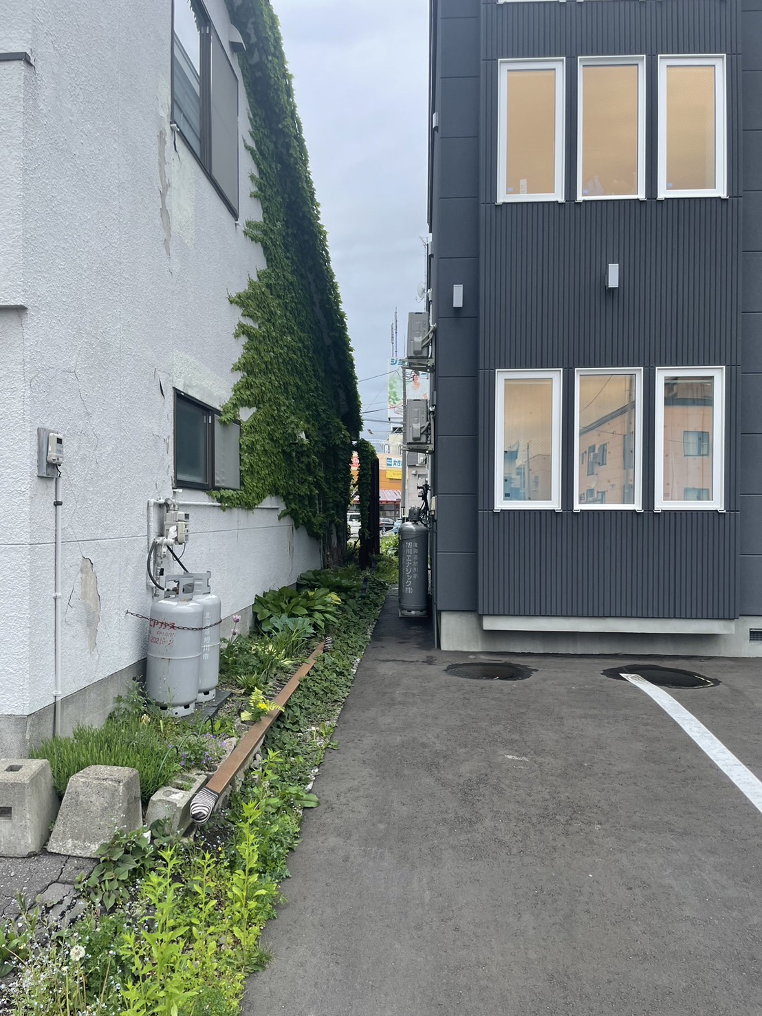 https://asahikawa-rental-power.com